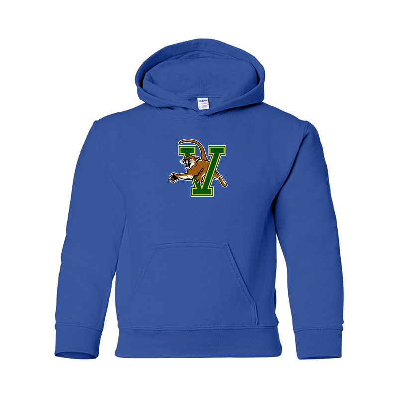 Youth Vermont Catamounts Gildan Heavy Blend  Hooded Sweatshirt